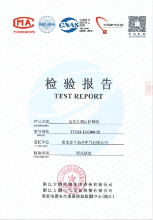 高壓型式試驗(yàn)報(bào)告2022年